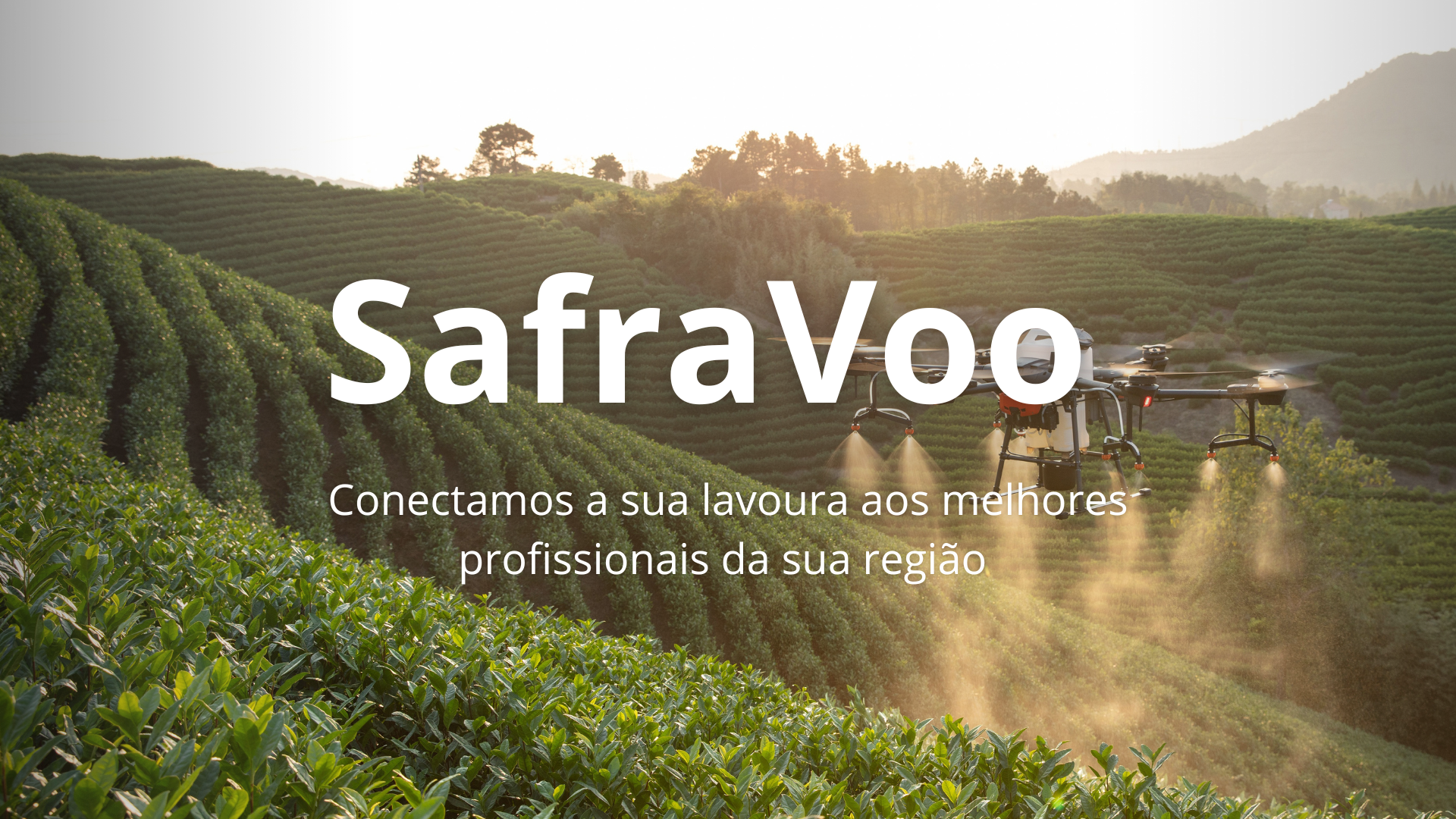 SafraVoo